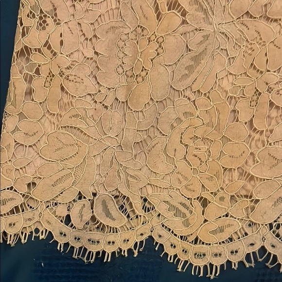 White House Black Market Lace Beige Bell Sleeve Blouse - Picture 3 of 10